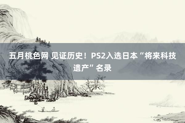 五月桃色网 见证历史！PS2入选日本“将来科技遗产”名录