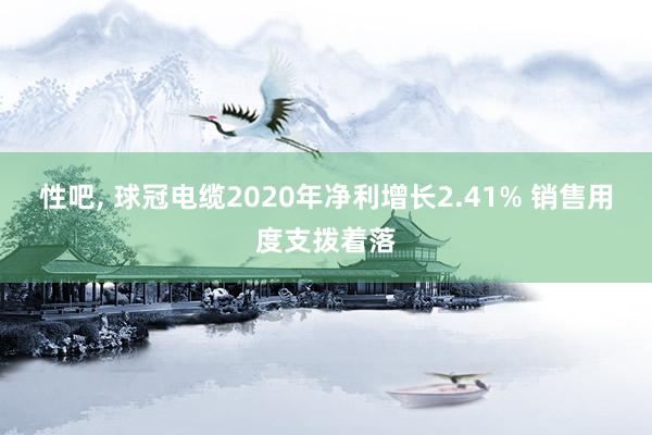 性吧, 球冠电缆2020年净利增长2.41% 销售用度支拨着落