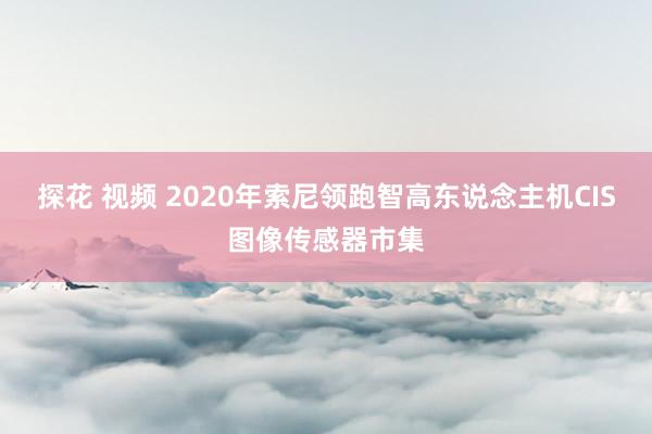 探花 视频 2020年索尼领跑智高东说念主机CIS图像传感器市集