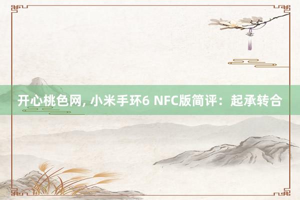 开心桃色网, 小米手环6 NFC版简评：起承转合