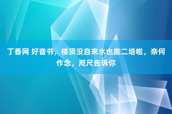 丁香网 好音书，楼顶没自来水也能二培啦，奈何作念，咫尺告诉你