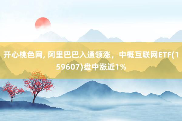 开心桃色网， 阿里巴巴入通领涨，中概互联网ETF(159607)盘中涨近1%