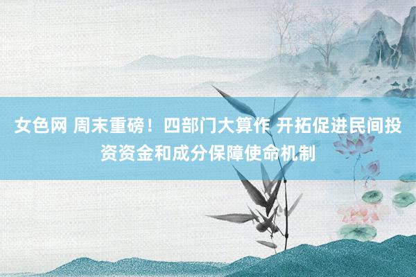 女色网 周末重磅！四部门大算作 开拓促进民间投资资金和成分保障使命机制