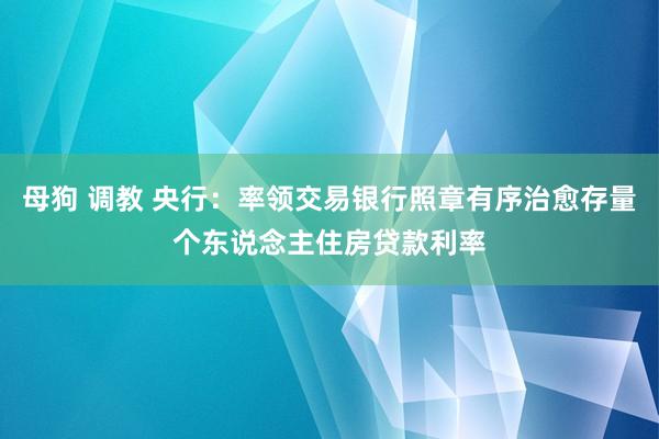 母狗 调教 央行：率领交易银行照章有序治愈存量个东说念主住房贷款利率