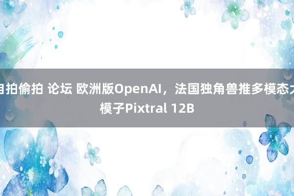 自拍偷拍 论坛 欧洲版OpenAI，法国独角兽推多模态大模子Pixtral 12B