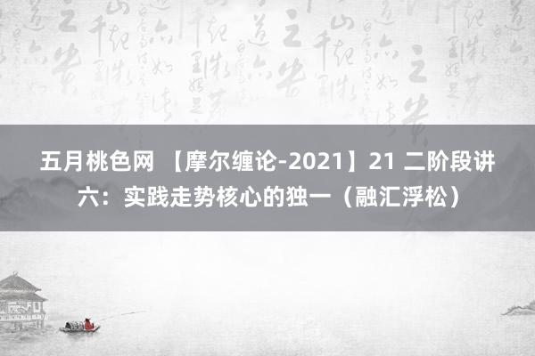 五月桃色网 【摩尔缠论-2021】21 二阶段讲六：实践走势核心的独一（融汇浮松）