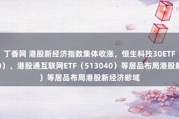 丁香网 港股新经济指数集体收涨，恒生科技30ETF（513010）、港股通互联网ETF（513040）等居品布局港股新经济畛域