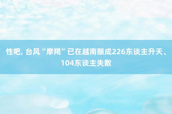 性吧， 台风“摩羯”已在越南酿成226东谈主升天、104东谈主失散