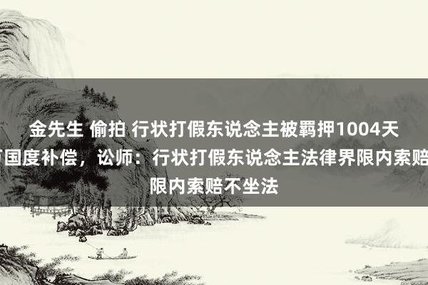 金先生 偷拍 行状打假东说念主被羁押1004天获52万国度补偿，讼师：行状打假东说念主法律界限内索赔不坐法