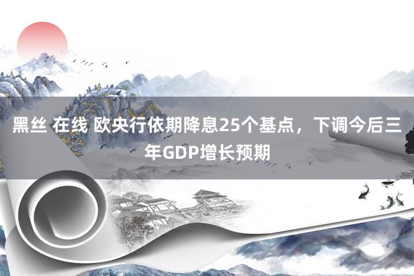 黑丝 在线 欧央行依期降息25个基点，下调今后三年GDP增长预期