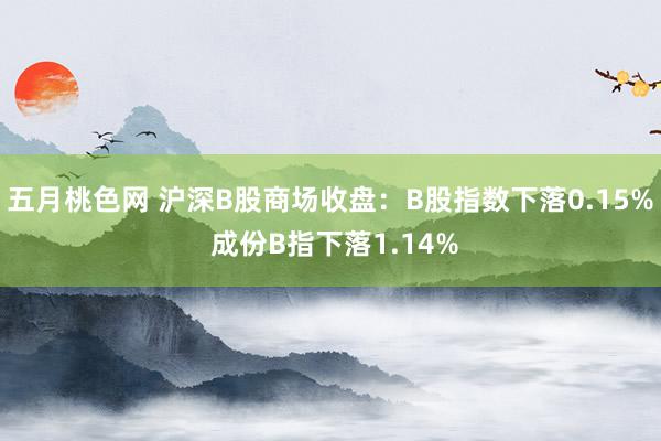 五月桃色网 沪深B股商场收盘：B股指数下落0.15% 成份B指下落1.14%