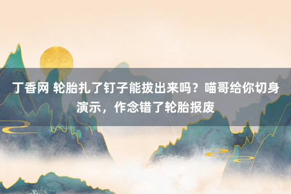 丁香网 轮胎扎了钉子能拔出来吗？喵哥给你切身演示，作念错了轮胎报废