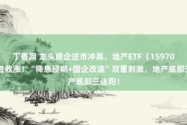 丁香网 龙头房企逆市冲高，地产ETF（159707）得胜收涨！“降息预期+国企改造”双重刺激，地产底部三连阳！