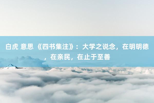 白虎 意思 《四书集注》：大学之说念，在明明德，在亲民，在止于至善