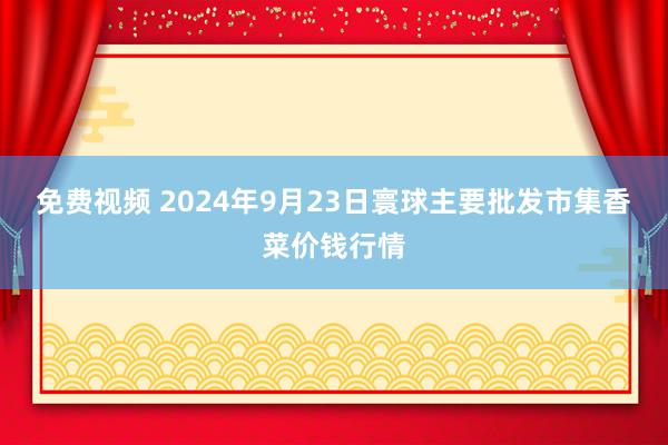 免费视频 2024年9月23日寰球主要批发市集香菜价钱行情