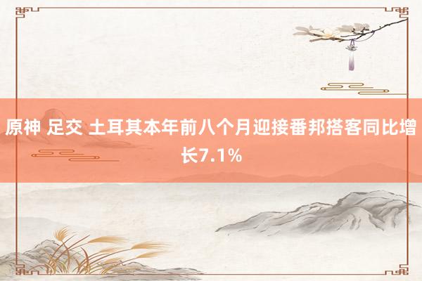 原神 足交 土耳其本年前八个月迎接番邦搭客同比增长7.1%