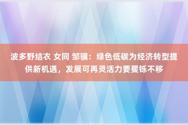 波多野结衣 女同 邹骥：绿色低碳为经济转型提供新机遇，发展可再灵活力要矍铄不移