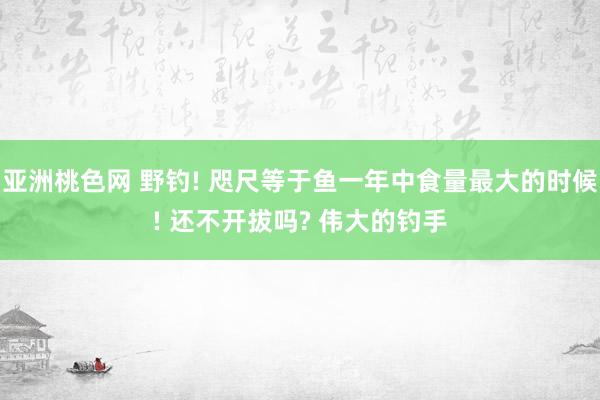 亚洲桃色网 野钓! 咫尺等于鱼一年中食量最大的时候! 还不开拔吗? 伟大的钓手