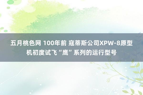 五月桃色网 100年前 寇蒂斯公司XPW-8原型机初度试飞“鹰”系列的运行型号