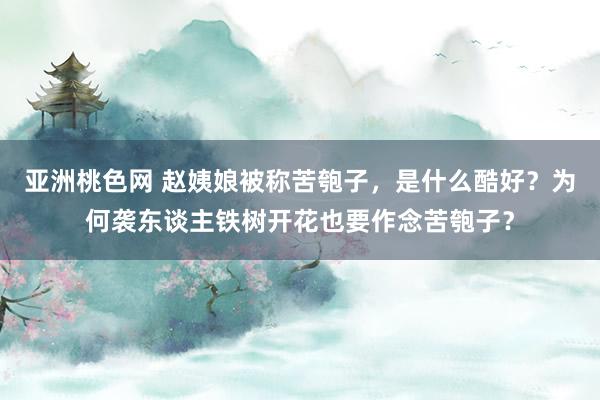 亚洲桃色网 赵姨娘被称苦匏子，是什么酷好？为何袭东谈主铁树开花也要作念苦匏子？