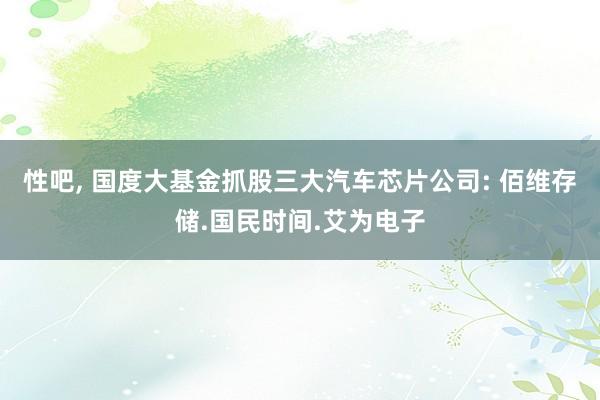 性吧， 国度大基金抓股三大汽车芯片公司: 佰维存储.国民时间.艾为电子