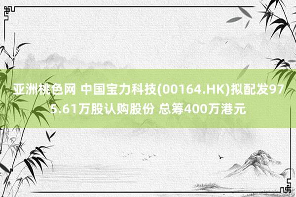 亚洲桃色网 中国宝力科技(00164.HK)拟配发975.61万股认购股份 总筹400万港元