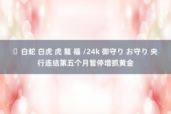 ✨白蛇 白虎 虎 龍 福 /24k 御守り お守り 央行连结第五个月暂停增抓黄金