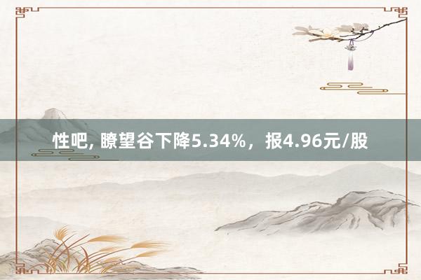 性吧， 瞭望谷下降5.34%，报4.96元/股