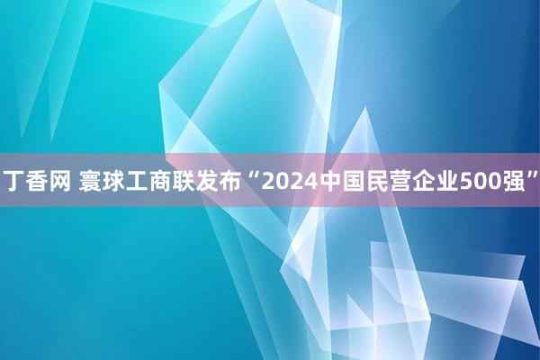 丁香网 寰球工商联发布“2024中国民营企业500强”