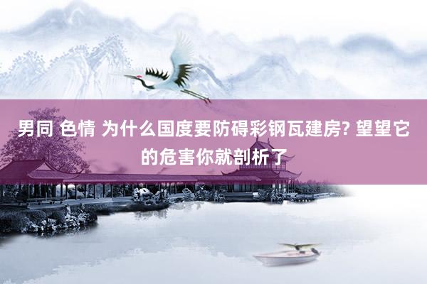 男同 色情 为什么国度要防碍彩钢瓦建房? 望望它的危害你就剖析了