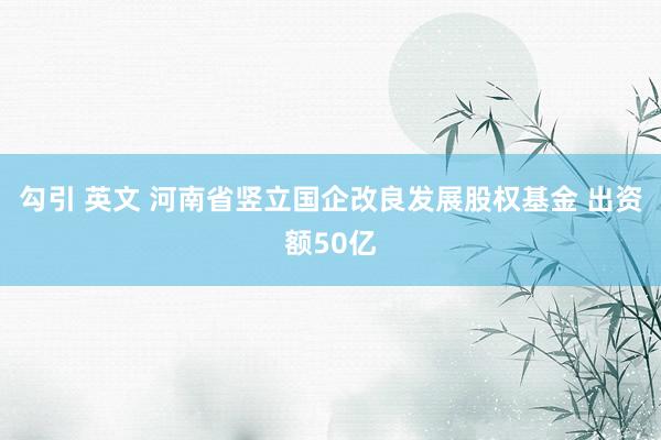 勾引 英文 河南省竖立国企改良发展股权基金 出资额50亿