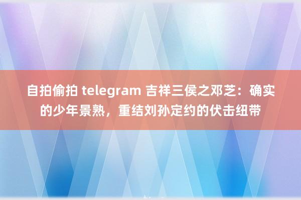 自拍偷拍 telegram 吉祥三侯之邓芝：确实的少年景熟，重结刘孙定约的伏击纽带