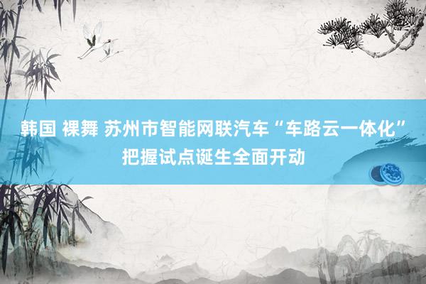 韩国 裸舞 苏州市智能网联汽车“车路云一体化”把握试点诞生全面开动