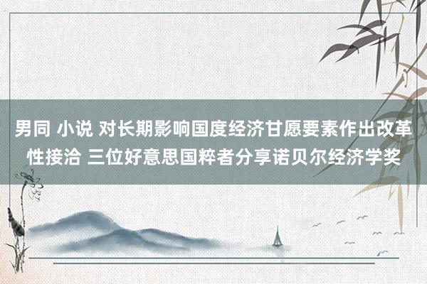 男同 小说 对长期影响国度经济甘愿要素作出改革性接洽 三位好意思国粹者分享诺贝尔经济学奖