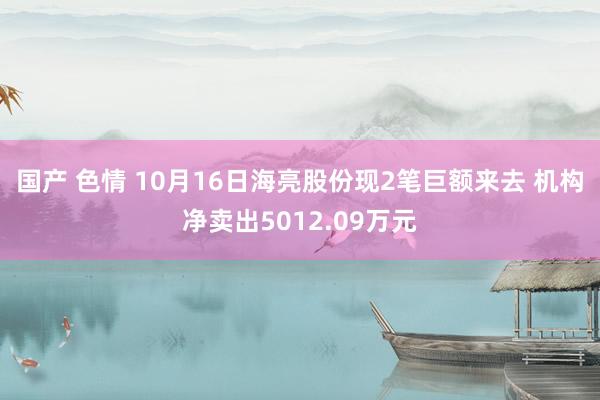 国产 色情 10月16日海亮股份现2笔巨额来去 机构净卖出5012.09万元