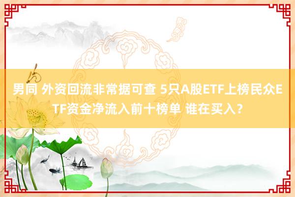 男同 外资回流非常据可查 5只A股ETF上榜民众ETF资金净流入前十榜单 谁在买入？