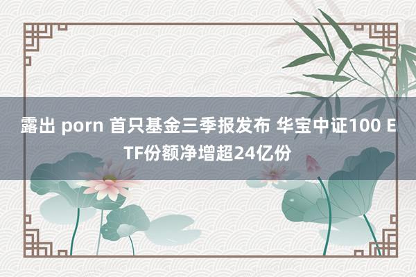 露出 porn 首只基金三季报发布 华宝中证100 ETF份额净增超24亿份