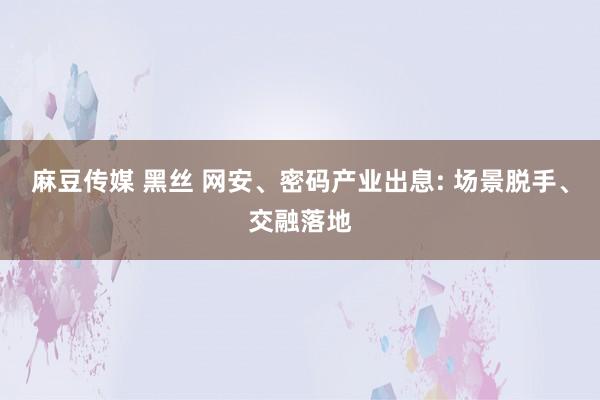 麻豆传媒 黑丝 网安、密码产业出息: 场景脱手、交融落地