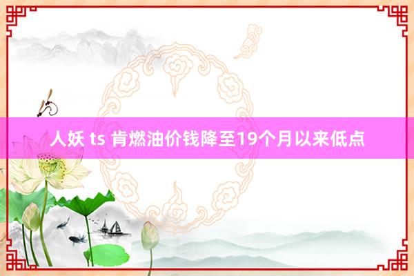 人妖 ts 肯燃油价钱降至19个月以来低点