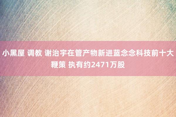 小黑屋 调教 谢治宇在管产物新进蓝念念科技前十大鞭策 执有约2471万股