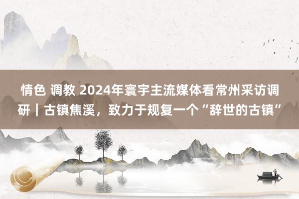 情色 调教 2024年寰宇主流媒体看常州采访调研｜古镇焦溪，致力于规复一个“辞世的古镇”