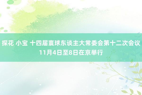 探花 小宝 十四届寰球东谈主大常委会第十二次会议11月4日至8日在京举行