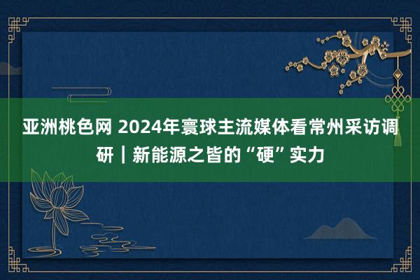 亚洲桃色网 2024年寰球主流媒体看常州采访调研｜新能源之皆的“硬”实力