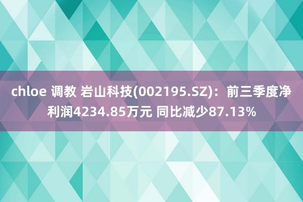 chloe 调教 岩山科技(002195.SZ)：前三季度净利润4234.85万元 同比减少87.13%