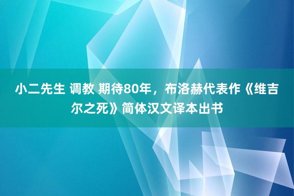 小二先生 调教 期待80年，布洛赫代表作《维吉尔之死》简体汉文译本出书