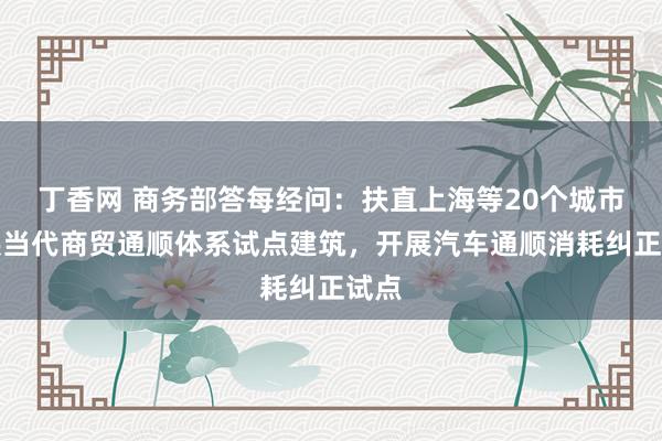 丁香网 商务部答每经问：扶直上海等20个城市开展当代商贸通顺体系试点建筑，开展汽车通顺消耗纠正试点