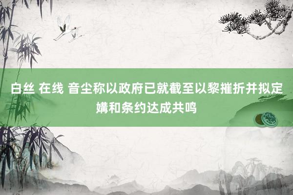 白丝 在线 音尘称以政府已就截至以黎摧折并拟定媾和条约达成共鸣