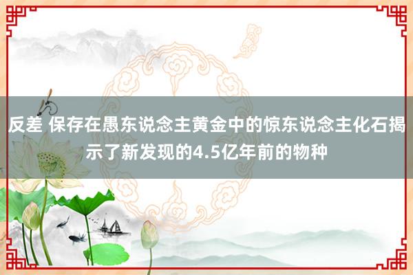 反差 保存在愚东说念主黄金中的惊东说念主化石揭示了新发现的4.5亿年前的物种