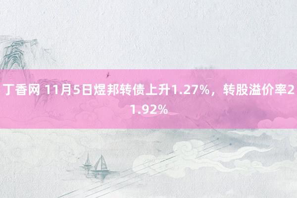 丁香网 11月5日煜邦转债上升1.27%，转股溢价率21.92%