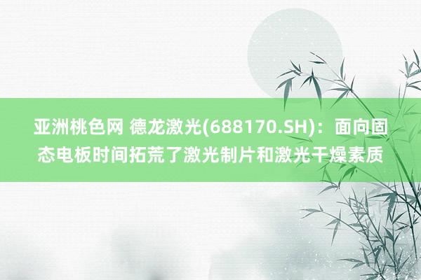 亚洲桃色网 德龙激光(688170.SH)：面向固态电板时间拓荒了激光制片和激光干燥素质